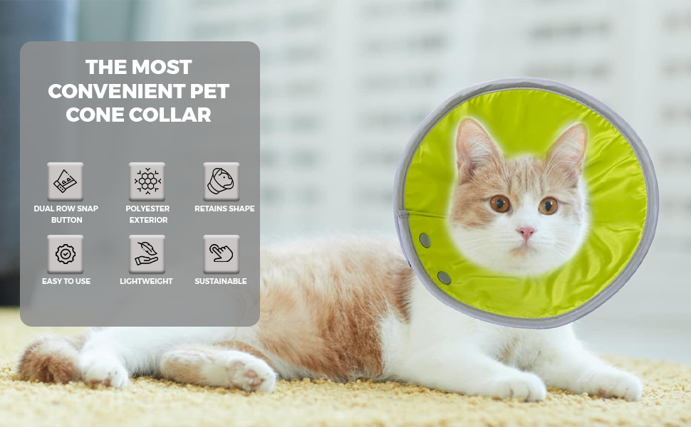 Small cat cone on sale