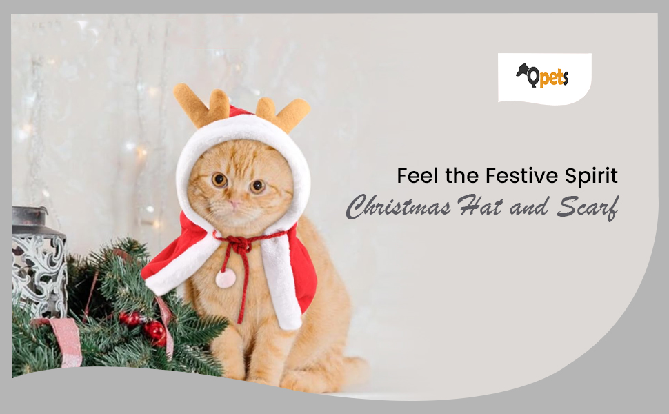 Banner 1
