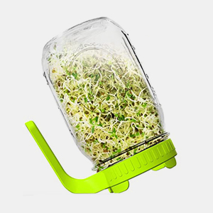 HASTHIP 32Oz Glass Sprout Maker Jar with Ventilated Mesh Lid, PP Handle and 86mm Mason Jar Fit