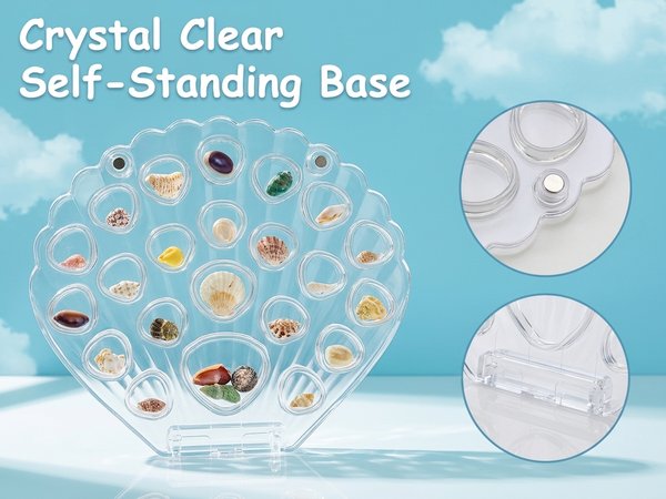 HASTHIP Acrylic Seashell Box Grid Organizer with 22 Compartments for Collectibles