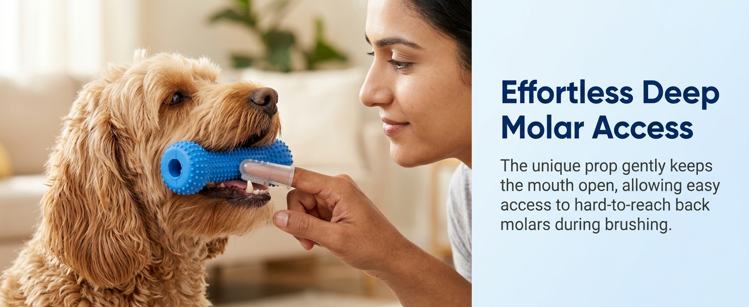 Qpets Dog Dental Chew Prop for Guided Brushing with Supportive TPR Construction for Everyday Oral Care