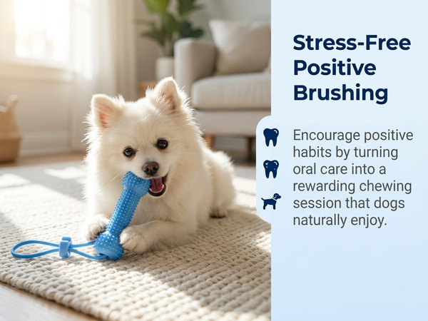 Qpets Dog Dental Chew Prop for Guided Brushing with Supportive TPR Construction for Everyday Oral Care