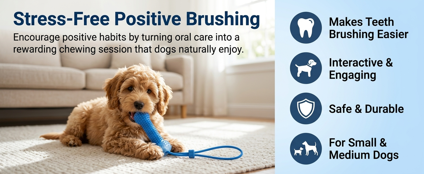 Qpets Dog Dental Chew Prop for Guided Brushing with Supportive TPR Construction for Everyday Oral Care