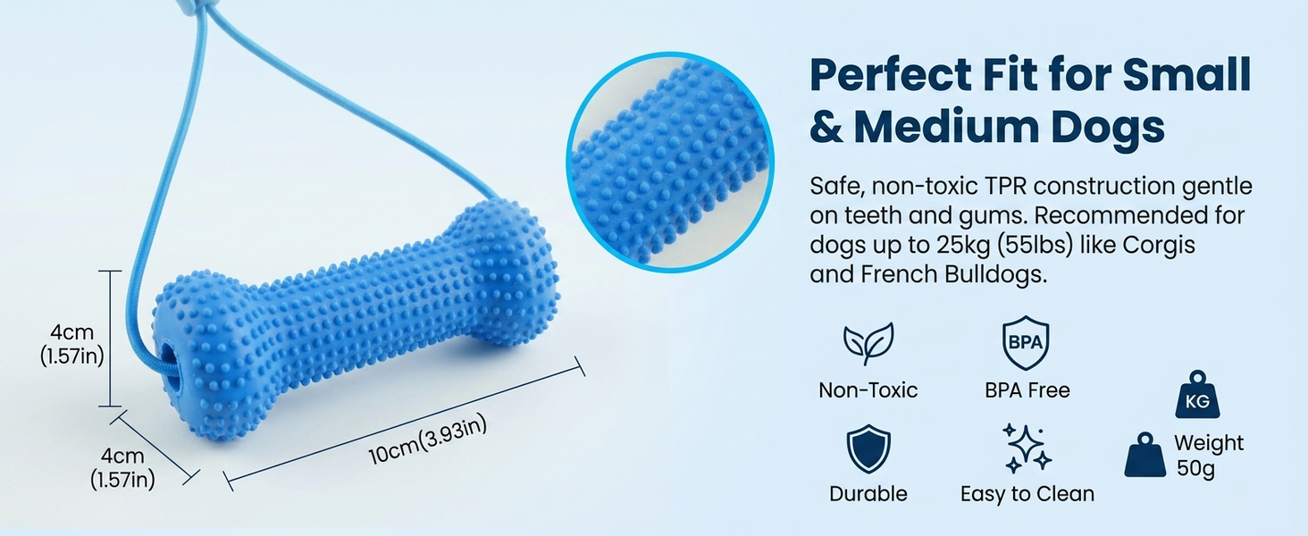 Qpets Dog Dental Chew Prop for Guided Brushing with Supportive TPR Construction for Everyday Oral Care