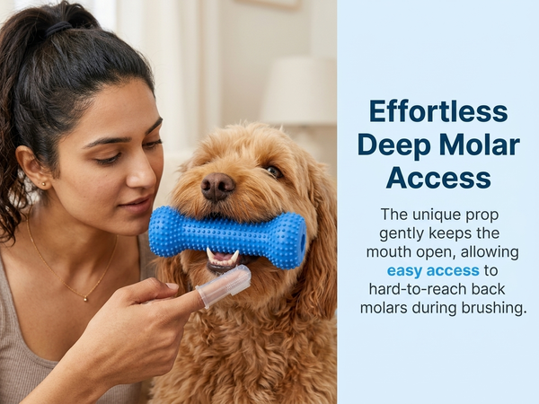 Qpets Dog Dental Chew Prop for Guided Brushing with Supportive TPR Construction for Everyday Oral Care