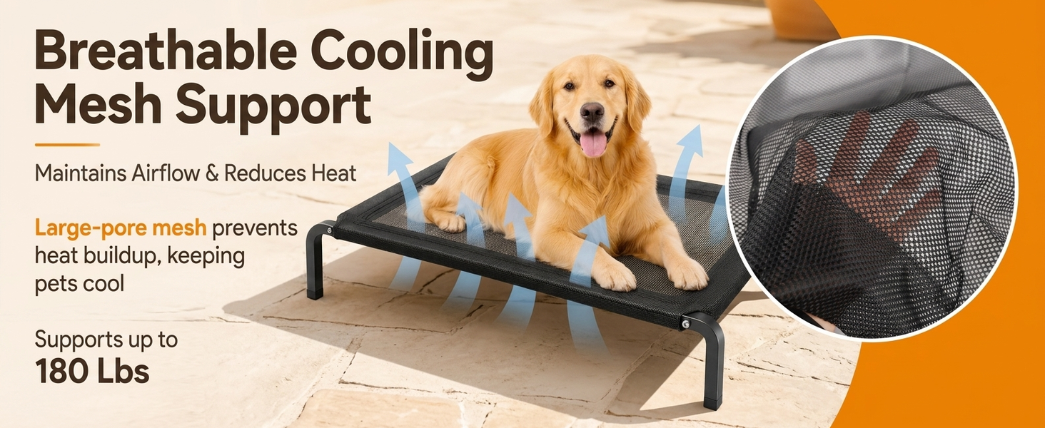 Qpets Elevated Dog Bed for Large Dogs and Cats, Breathable Mesh