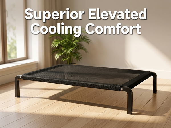 Qpets Elevated Dog Bed for Large Dogs and Cats, Breathable Mesh
