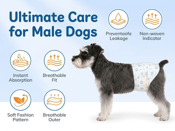 Qpets Male Dog Diaper Wraps, 12 Pack, Absorbent, Breathable Leak Protection, Size L