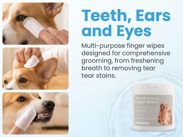 Qpets 3-in-1 Natural Cotton Pet Finger Wipes for Dogs and Cats, Teeth, Ears and Eyes, 50 Count