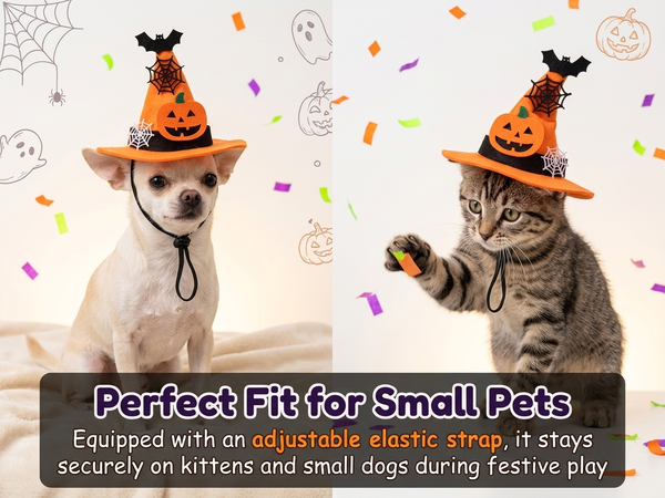 Qpets Adjustable Halloween Witch Hat for Cats and Small Dogs with Soft Cloth and Lace Details
