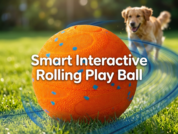 Qpets Interactive Dog Ball with 10mm ETPU Shell, Two Play Modes and IPX7 Waterproof Design