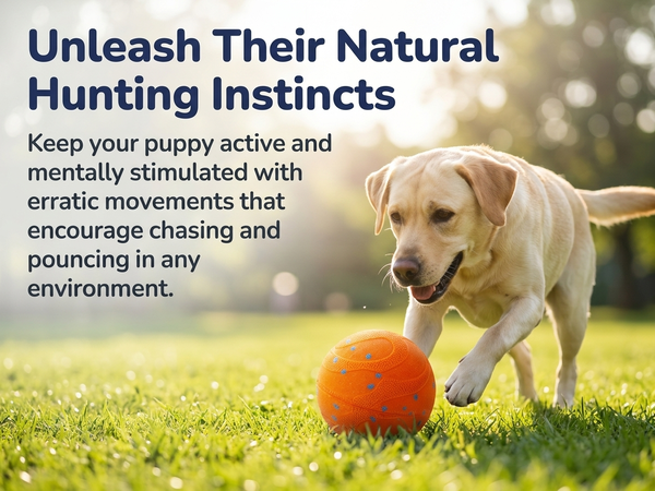 Qpets Interactive Dog Ball with 10mm ETPU Shell, Two Play Modes and IPX7 Waterproof Design