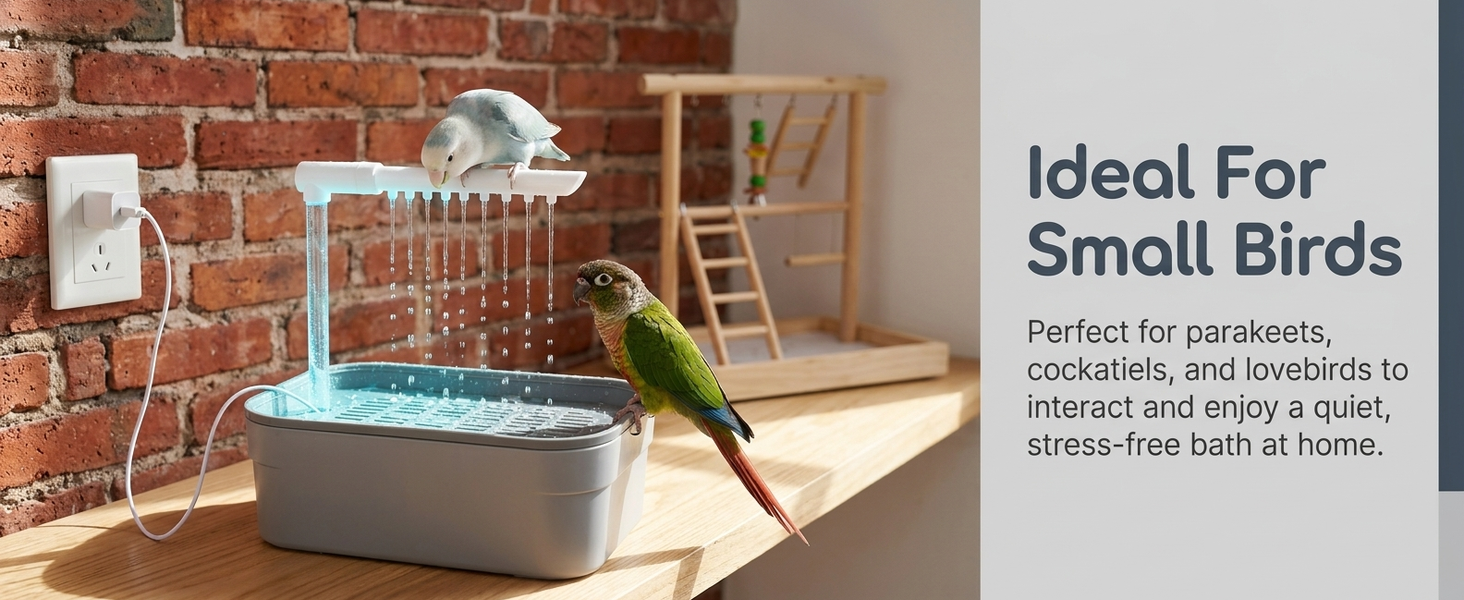 Qpets Automatic Bird Bath Box with USB Fountain, Quiet Circulating Water for Small Birds
