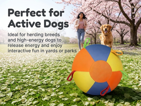 Qpets Herding Ball for Dogs with Multiple Handles and Reinforced Double-Layer Construction