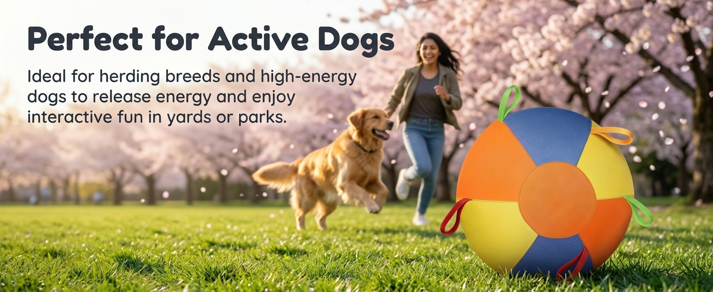 Qpets Herding Ball for Dogs with Multiple Handles and Reinforced Double-Layer Construction