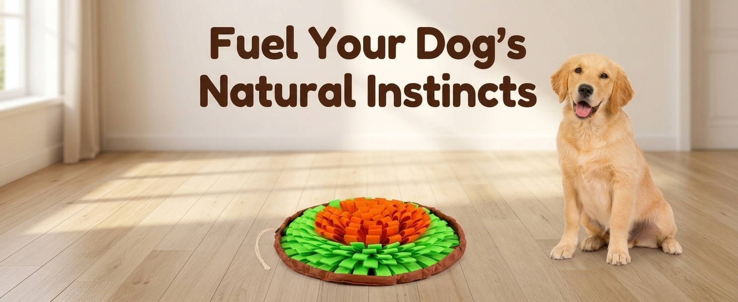 Qpets Dog Snuffle Mat for Slow Feeding and Training: Soft Felt, Machine Washable, Home and Travel Use