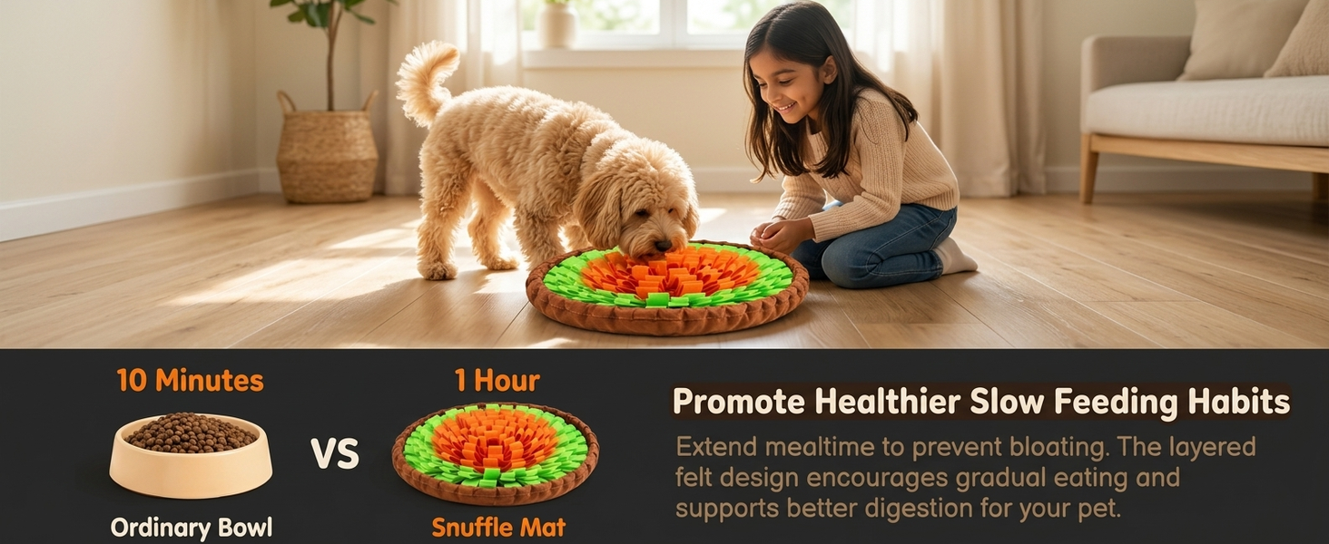 Qpets Dog Snuffle Mat for Slow Feeding and Training: Soft Felt, Machine Washable, Home and Travel Use