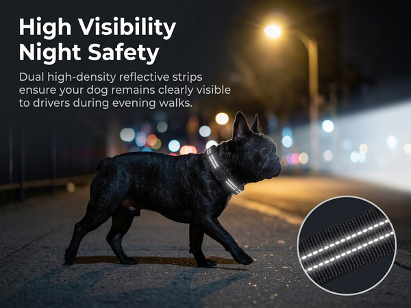Qpets Reflective AirTag Dog Collar for Medium Dogs with Waterproof Holder, Padding and Dual D Rings