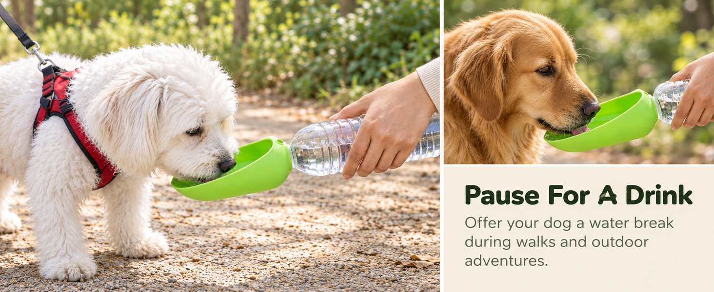 Qpets Foldable Pet Water Bottle with Silicone Cup