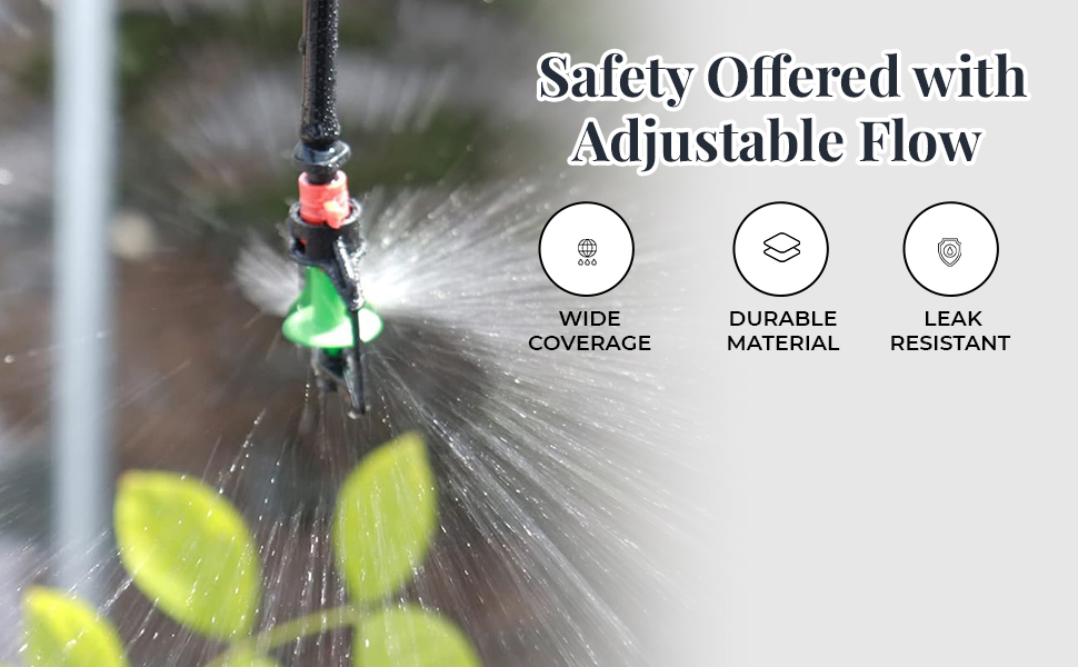 Banner 2
